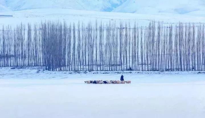 一场薄雪，勾勒出古风古韵大美中国