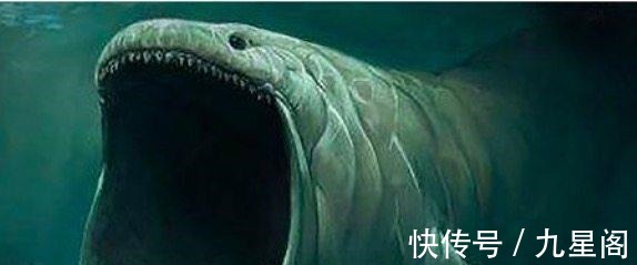 深海魔鲸|斗罗大陆最强5大魂兽 帝天倒数、深海魔鲸仅第四, 第一无人不服!