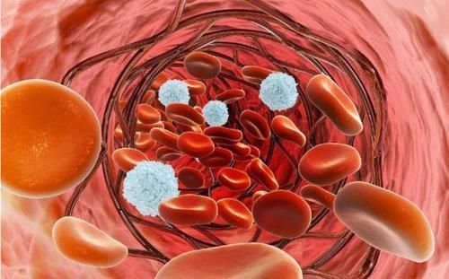 心脑血管疾病|测血脂时,化验单上的4项指标,是需要了解的,不妨来了解下