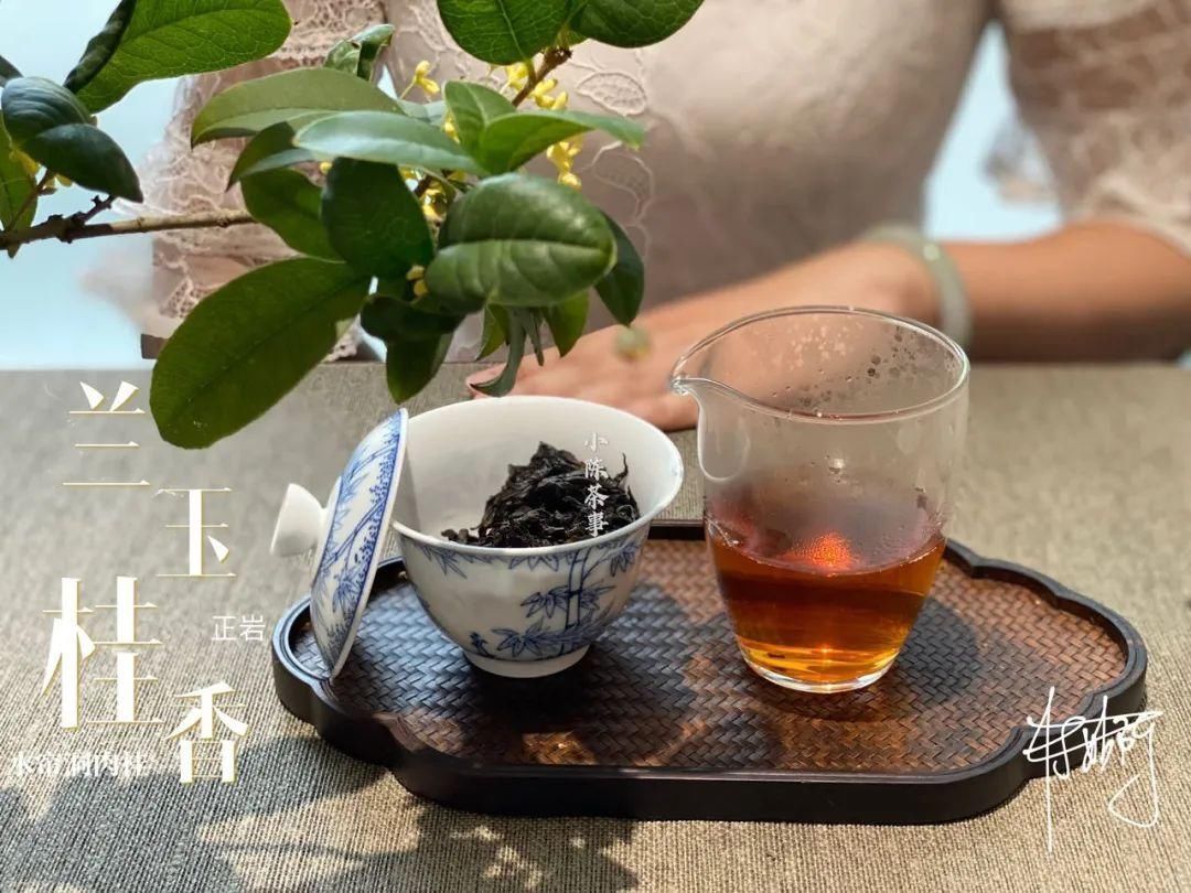 学术讨论|武夷岩茶还魂汤的学术讨论,专家不喝,茶客必留,这是为什么呢