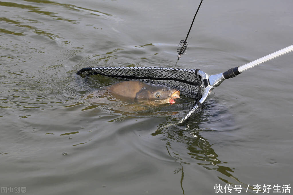 深水区的鱼儿不开口记住这3招,让鱼口起死回生