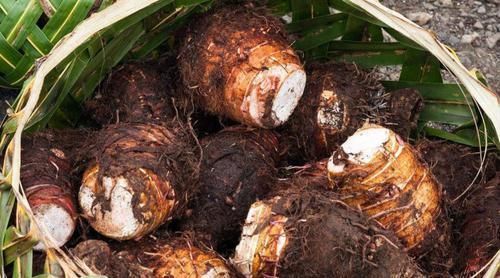 牙齿|冬天,女人要多吃这种“碱性食物”,皮肤好,头发乌黑,牙齿健康