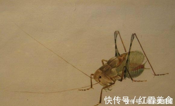 齐白石!把齐白石的草虫放大,这不是照片,这是白石老人的工笔草虫!