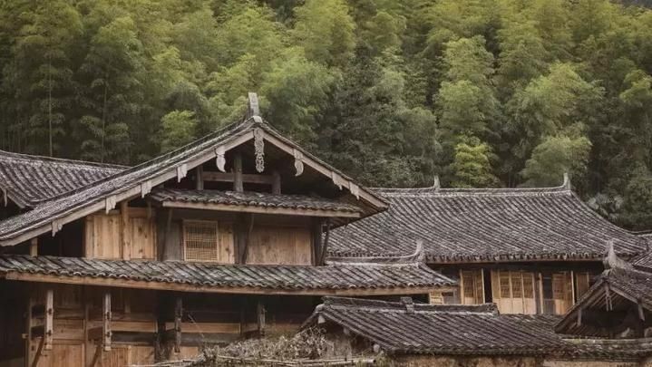 泰顺这个低调的千年古村，秋天风景美到爆，还免门票！|发现不一样的温州| 温州