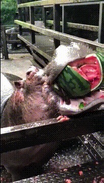 |搞笑GIF段子：原来是真的，游戏里面人物的身材，真的存在