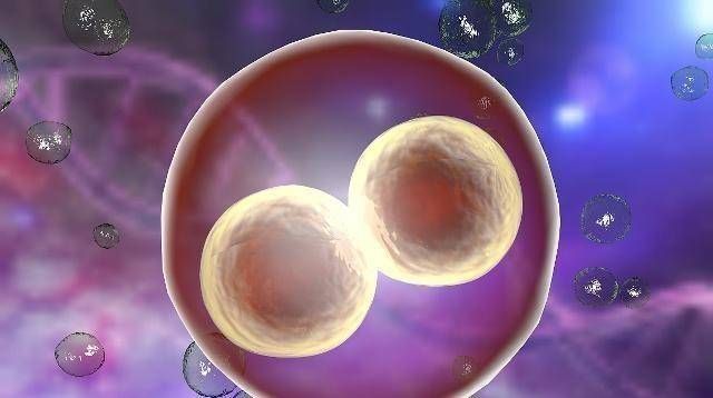 有福气|不管头胎还是二胎,在这3个时间点出生,或许是一位有福气的孩子