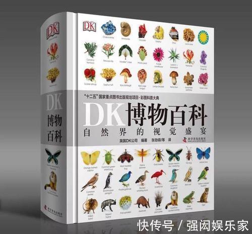 一本好书！给你一扇窗，看看这世界的模样！（科普童书推荐）