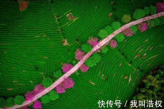 墨菲定律|身上有这“3个特征”的人,大多是富贵命,别不信