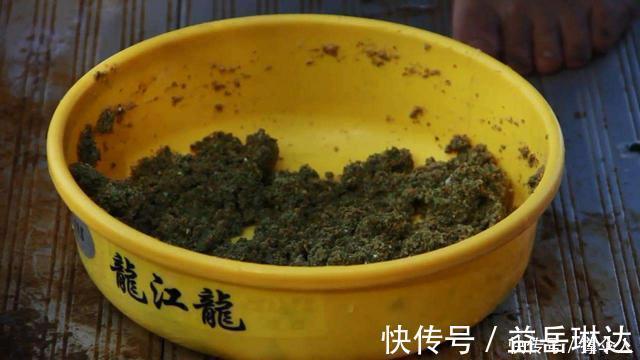 鲫鱼|除了单打独斗,蓝鲫搭配这几种饵料,渔获能翻倍,皇禾渔具