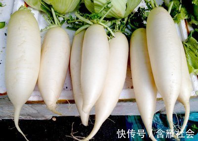 肉馅|白萝卜做馅，先焯水还是直接包都错了，教你正确方法，鲜香美味