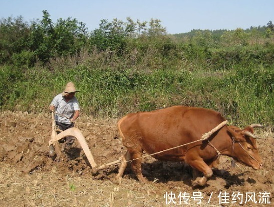 宋刑统$水浒传中最大的谎言：切二斤牛肉！原来我们被骗了这么多年