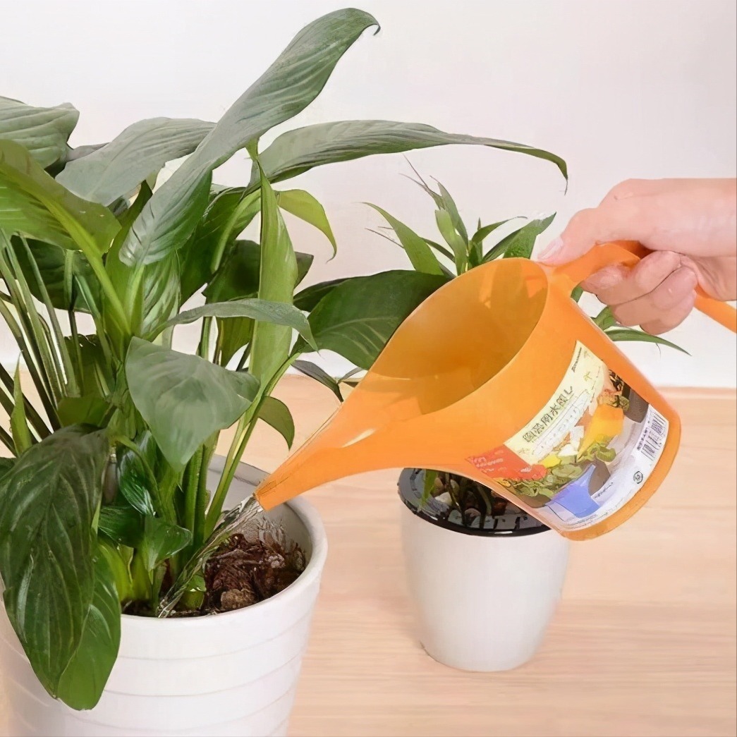 损伤|养花浇水有讲究,3个“手病”使不得,浇一盆死一盆