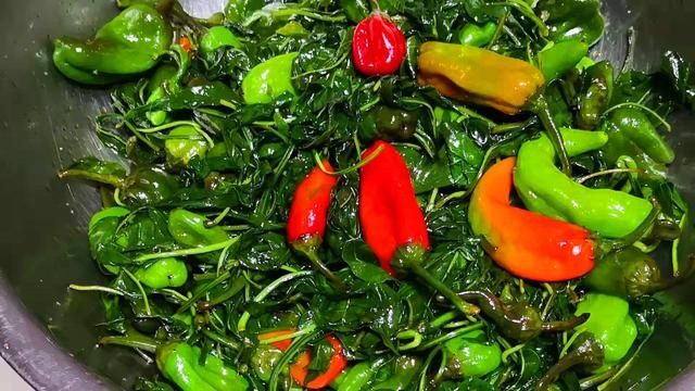 做法|腌辣椒,最忌直接加盐腌,教你正确做法,3个小时就能吃,太香了