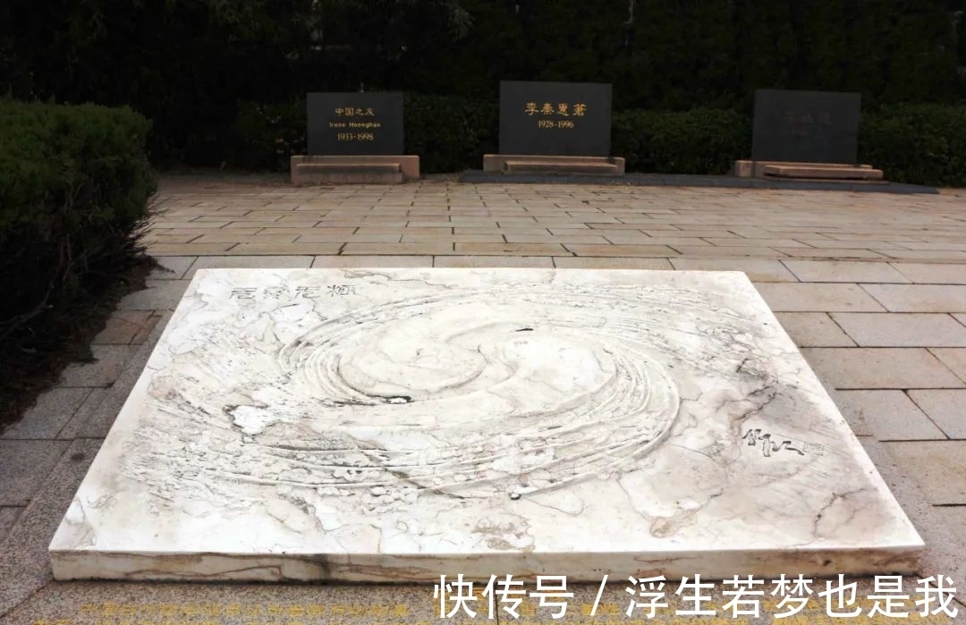 马约拉纳!李政道先生的诗情画意|左图右史