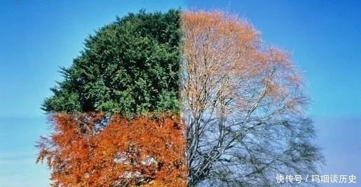 蒙古人|蒙古人的传统世界观