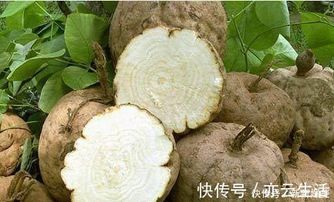 菊花茶|肝毒最怕的5种碱性食物，饭前饭后多吃，修复肝细胞，养肝更强肝