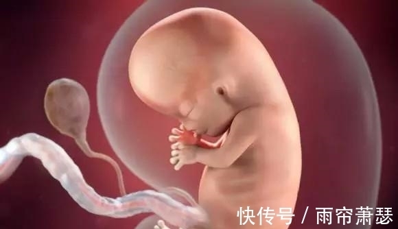 发育|十月怀胎，胎儿啥时候开始“长肉”？早知道早准备，别拖胎儿后腿