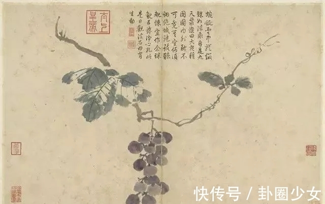 观物写生册&明代对景写生大家|沈周花鸟画《观物写生册》