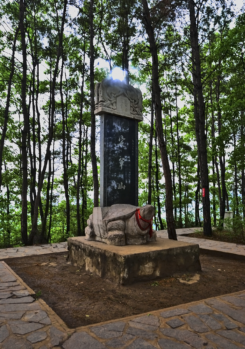 绝迹|定军山一战成名，可是“军山狐”却因此遭殃，目前基本绝迹了