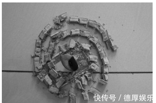 家里养花招虫很烦人老花农教1绝招,不买杀虫药,虫子都没有了