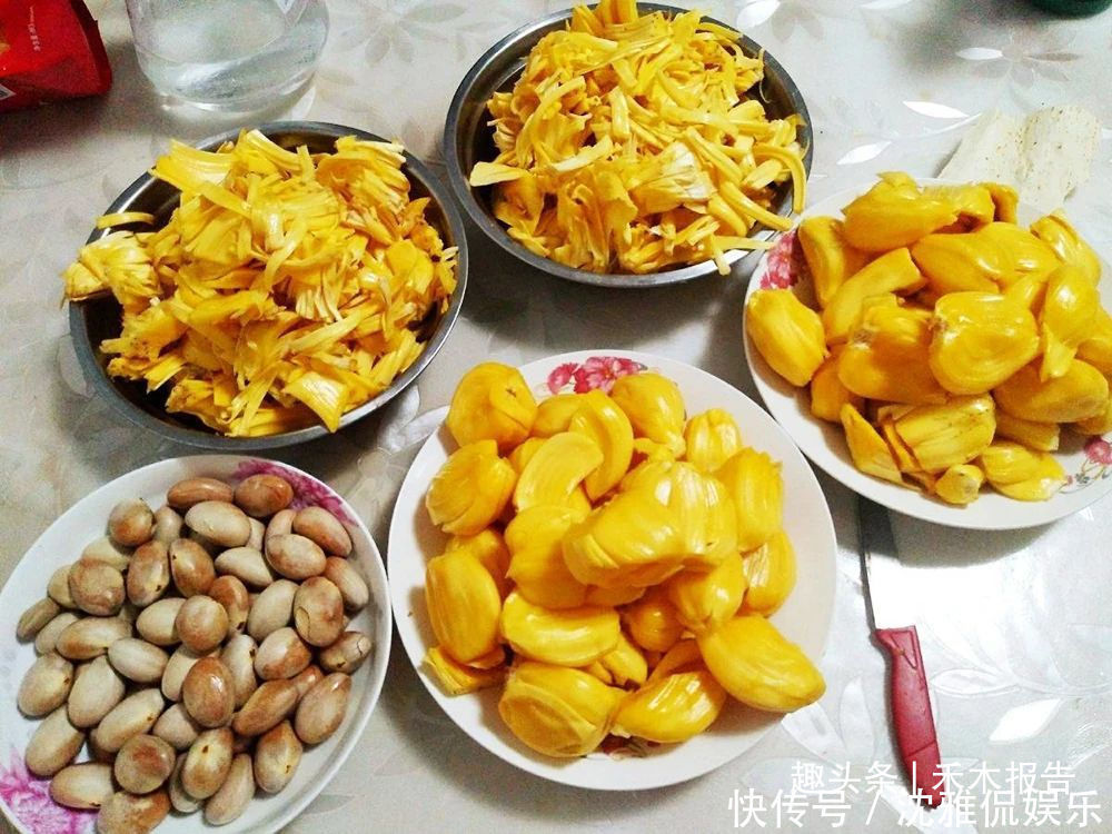  菠萝蜜的果|很多人只吃果肉，却不知果核也能吃，煮熟后似板栗，扔掉太可惜了