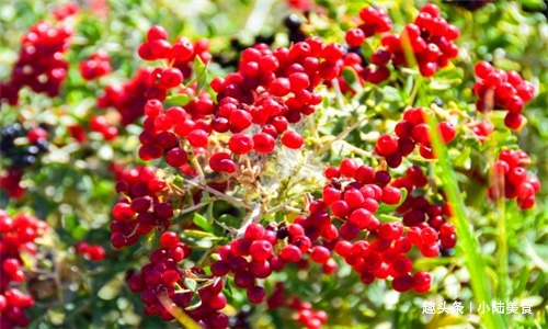 子宫早衰|女性不想变老,常食4种食物,润肤养颜,排毒护肝,预防子宫早衰