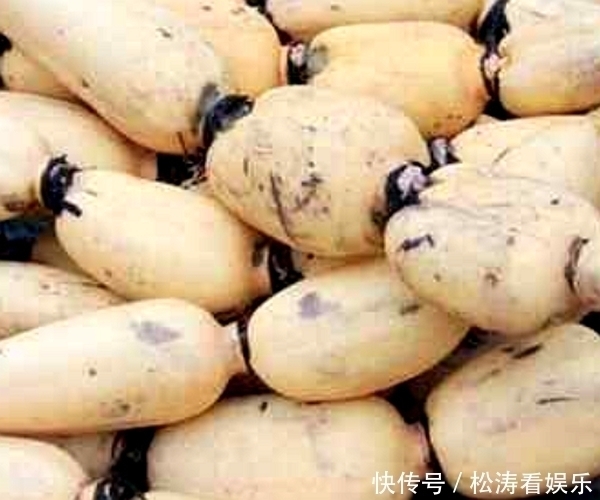 买莲藕时,买七孔还是九孔的30年藕农告诉你,别再瞎买浪费钱!