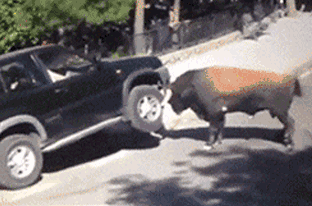 |搞笑动图:沙雕同学回宿舍快速上床睡觉!