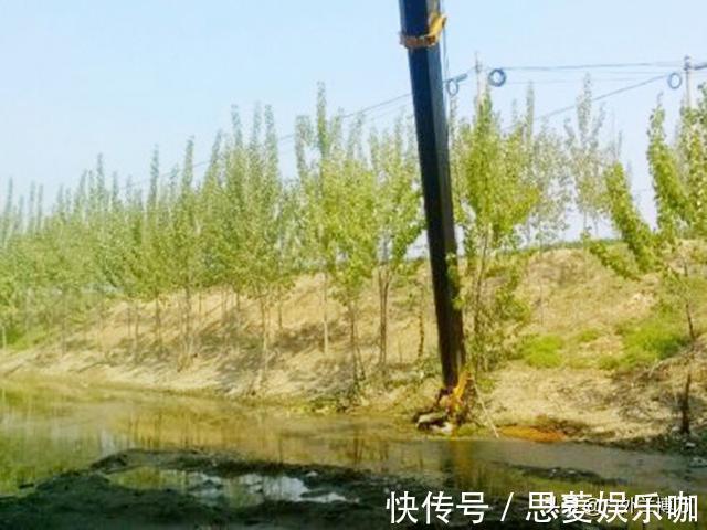 为了钓到鱼,钓友想尽各种办法!鱼:我们被包围了