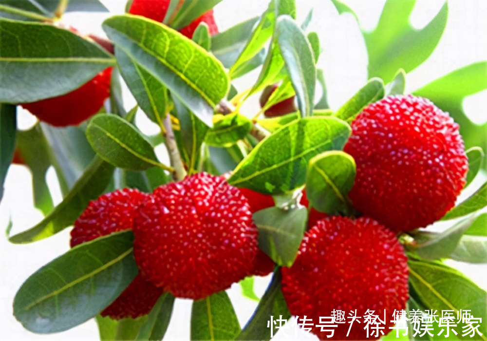 红苋菜|超市很常见的3种食物,排毒养颜,滋润肌肤,好处多多!