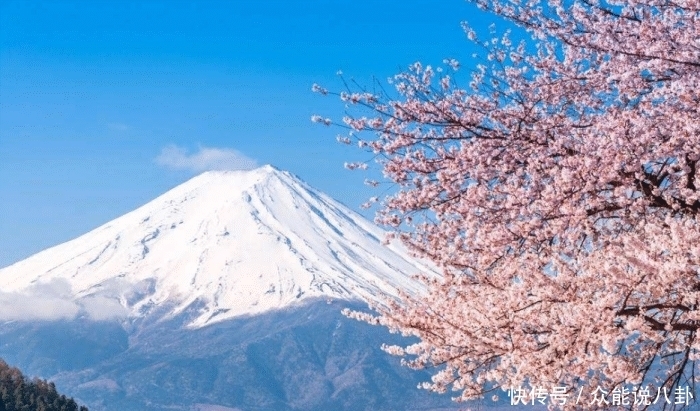 世界最牛的房东, 日本富士山是他的私人所有！政府缴纳巨额租