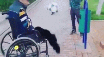 |搞笑GIF: 这也太神奇了吧 女友的鞋袜是怎么脱成这样的?