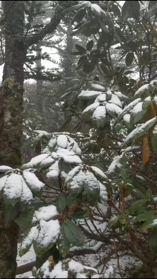  晚上|昆！明！下！雪！了！难怪这么冷，晚上睡觉记得加被子