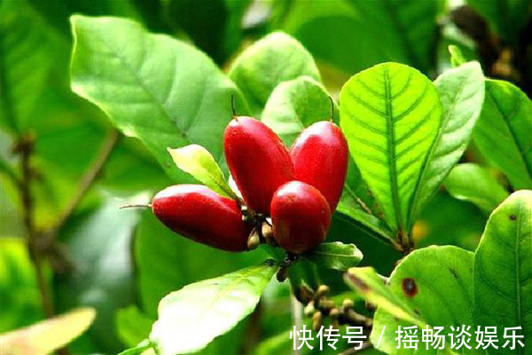 女性|女性想皮肤好,立秋后最应该吃的三种食物,美颜养眼可真少不了