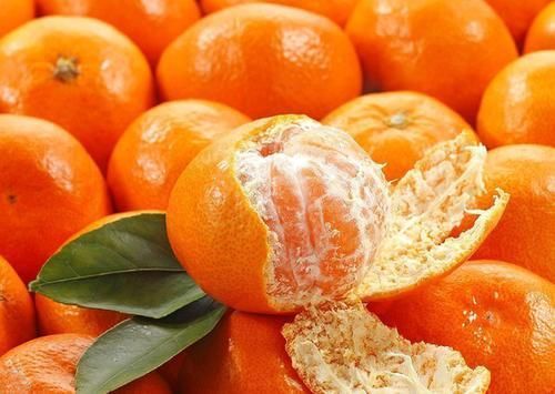 宁心静|不想被喊“大肚婆”,偷偷告诉你:这4种食物要少吃,运动要跟上