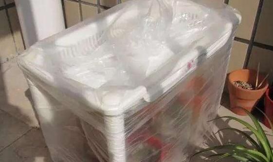 废弃的“塑料袋”要收好，养花时大有用处，可促进花卉生长、爆盆