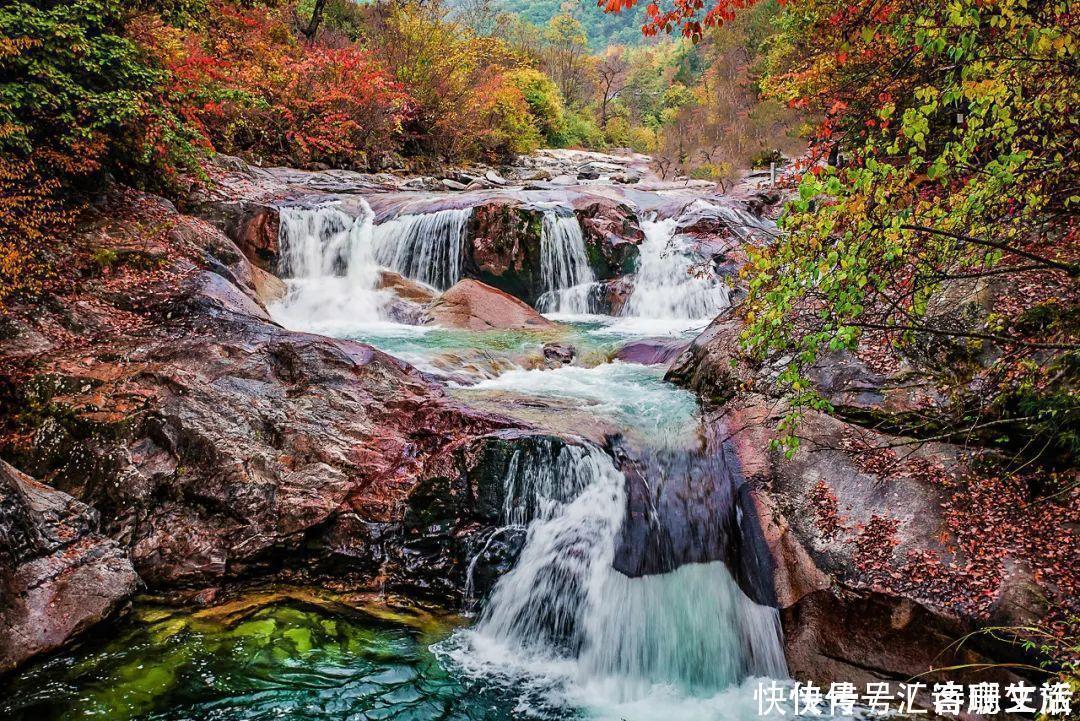 满山|秦岭深处满山红遍，绚丽多彩，惊艳着整个秋天