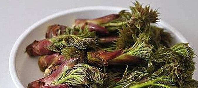 金钱草|农村常见的这七大野草,常吃清肺热,降三高,在城里吃不到!