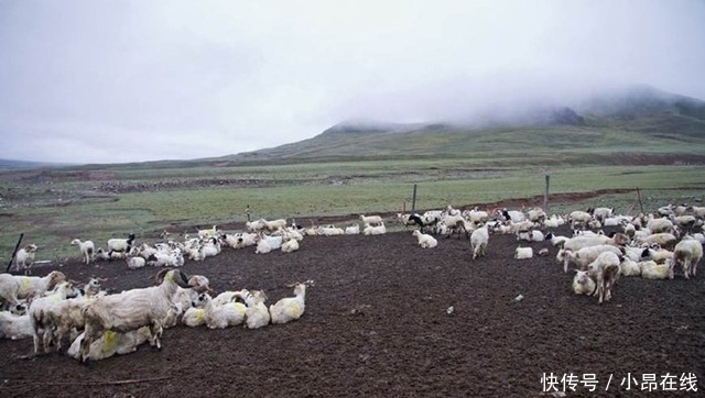 实拍住在无人区的牧民，整天看不到其它人，狼群和熊常出没于此