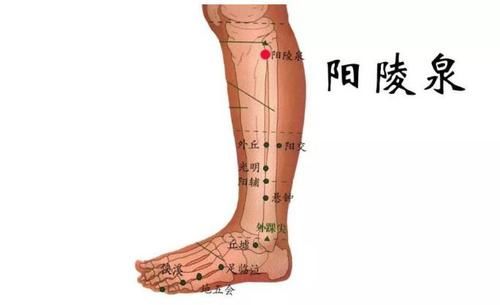 脾胃|脾胃不好胃口差？没事按摩身体这5个穴位，让你远离脾胃虚弱！