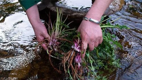 差别|宝宝到底该跟谁?跟老人和跟父母,性格差别其实并不大