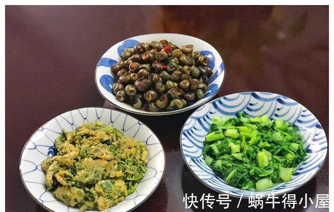 咸鱼茄子|我家一周晚餐记录,荤素搭配,简单有营养,好吃不贵全光盘