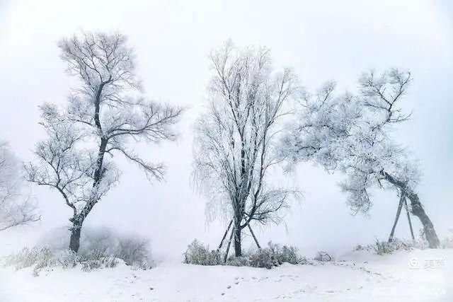 童话|冰天雪地，童话吉林