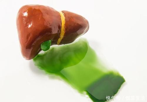 视网膜|养肝“冠军”找到了,不是胡萝卜,平时可劲吃,肝脏感激涕零