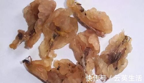 胶原蛋白|冬天养生好时机，以下食物别放过，降脂减肥、益肝明目，早吃早好