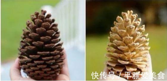 松子!农村阿姨,村里捡了一堆的“松果”,回家改造后邻居出2千来买