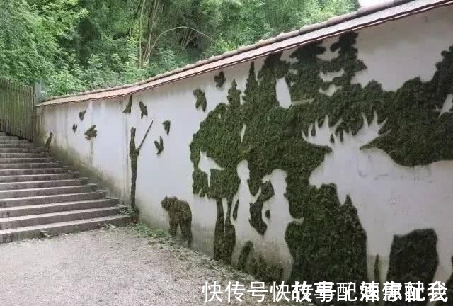 啤酒!他用酸奶、啤酒、苔藓把动物养在墙上,14天后的画面让人惊讶
