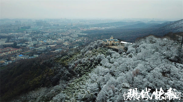 紫金山顶|雪没爽约！南京紫金山顶一夜披上冰雪“新装”