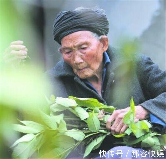 长寿之王|他是中国长寿之王,终身未娶活到133岁,生前唯一爱好却不太健康