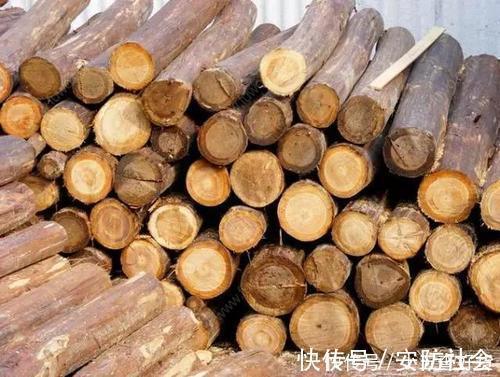 标准|装修完毕多久才能没甲醛?四个时段是标准,一年左右更安全